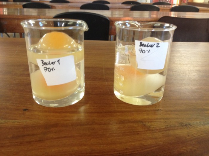 Egg osmosis experiment lab report