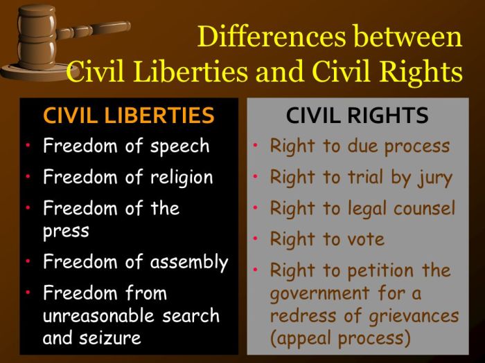 Ap gov civil liberties and civil rights