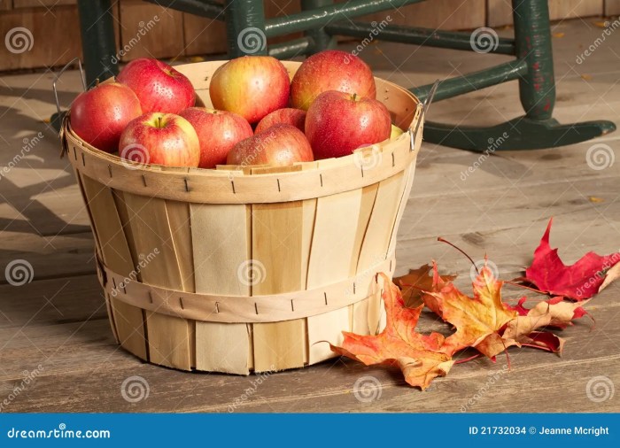 Price of bushel of apples