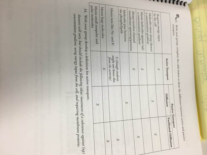 Membrane structure and function pogil answers