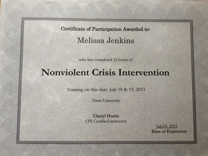 Cpi certification crisis intervention personalization