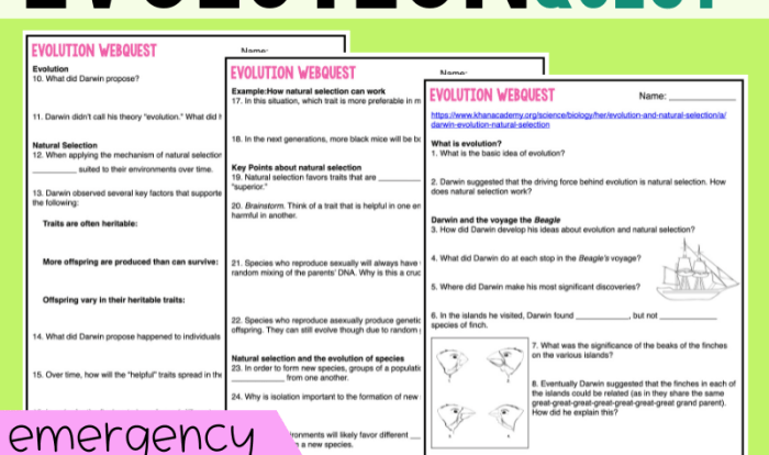 Evidence for evolution webquest answer key pdf