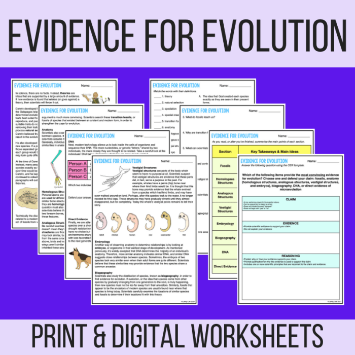 Evidence for evolution webquest answer key pdf