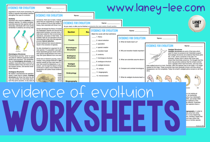 Evidence for evolution webquest answer key pdf