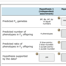 When observed independently which of the following are indications