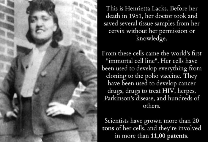 Henrietta lacks summary immortal life quote author favorite